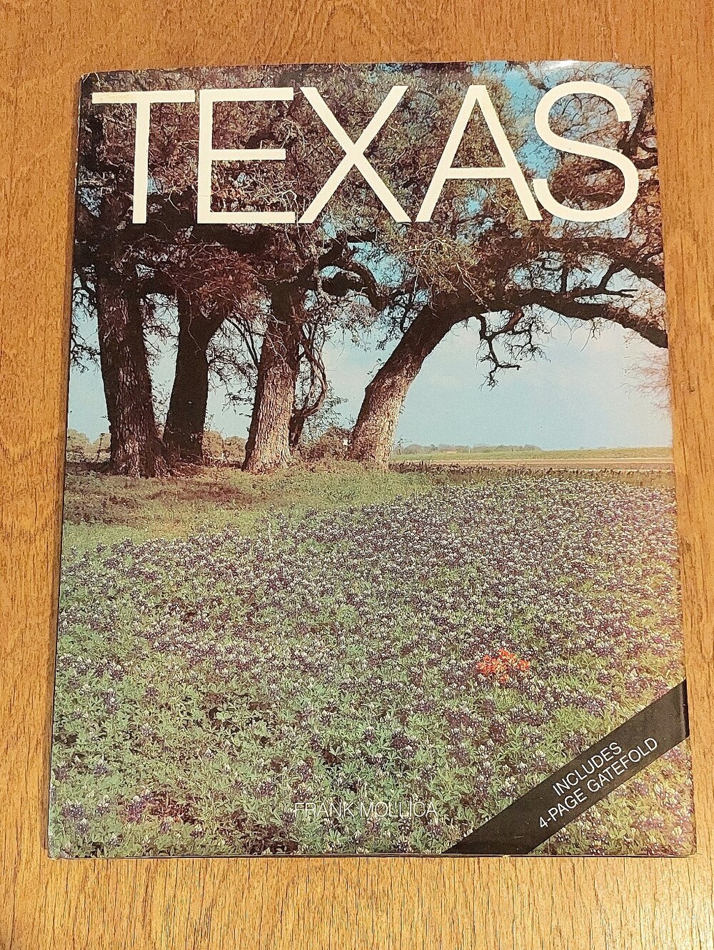 Texas Coffee Table Book - Scenic Blue & Green Cover